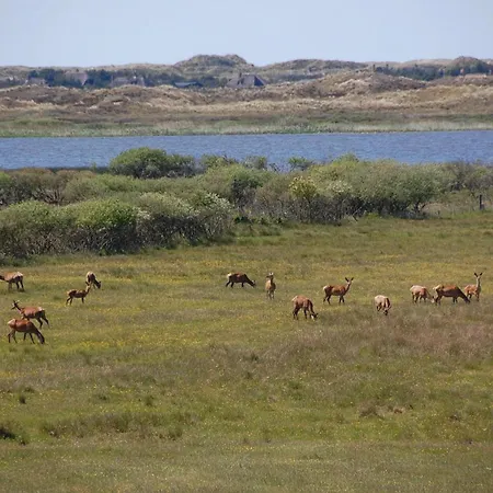 3 Bedroom Pet Friendly In Casa de Férias Blåvand